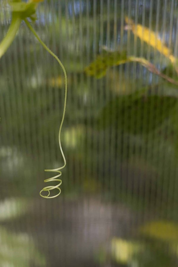 How to adapt commercial real estate strategies to the rise of last-mile delivery services?