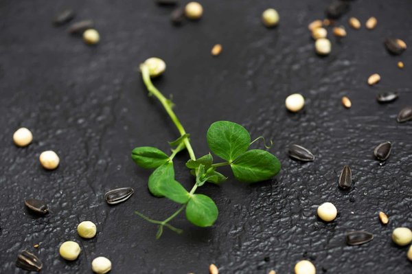 What's the Latest in Microgrid Technology for UK's Remote Communities?